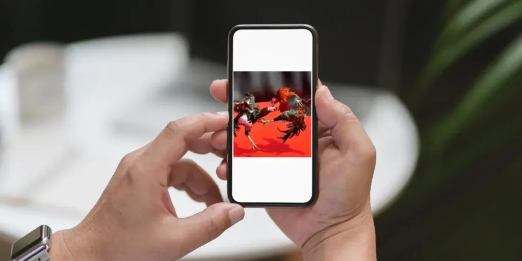 Religious leaders urged to unite, shield youth from ‘destructive’ online gambling