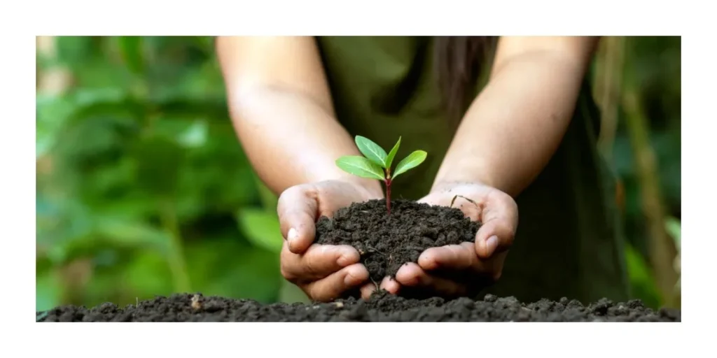 Environment watchdog lauds eco-friendly campaign