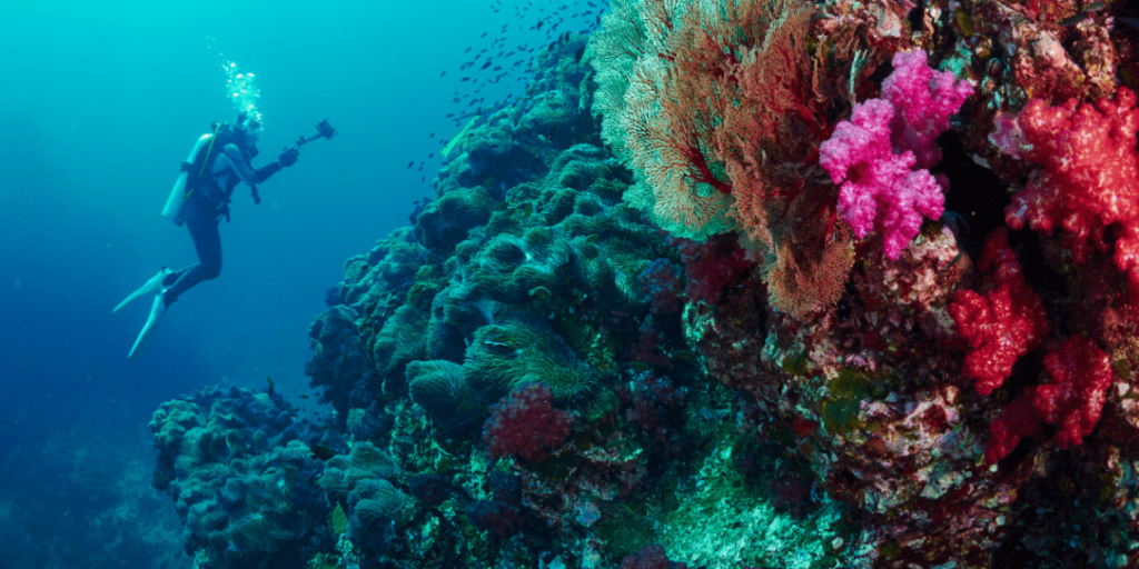 Gov’t urged to promote welfare of marine sanctuary workers