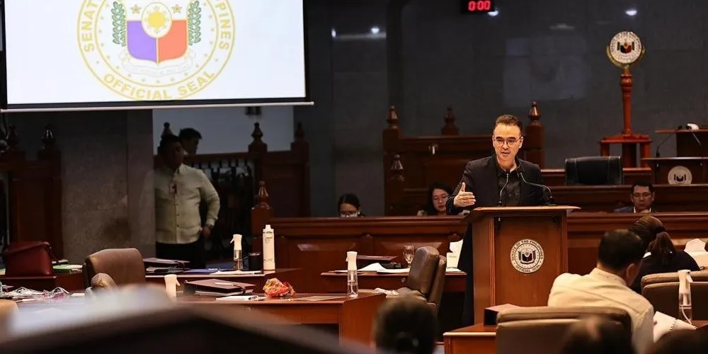 Senator Alan urges COA to conduct pre-audit of government projects