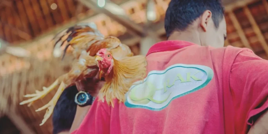 ‘Gov’t should earn more than e-sabong operators’