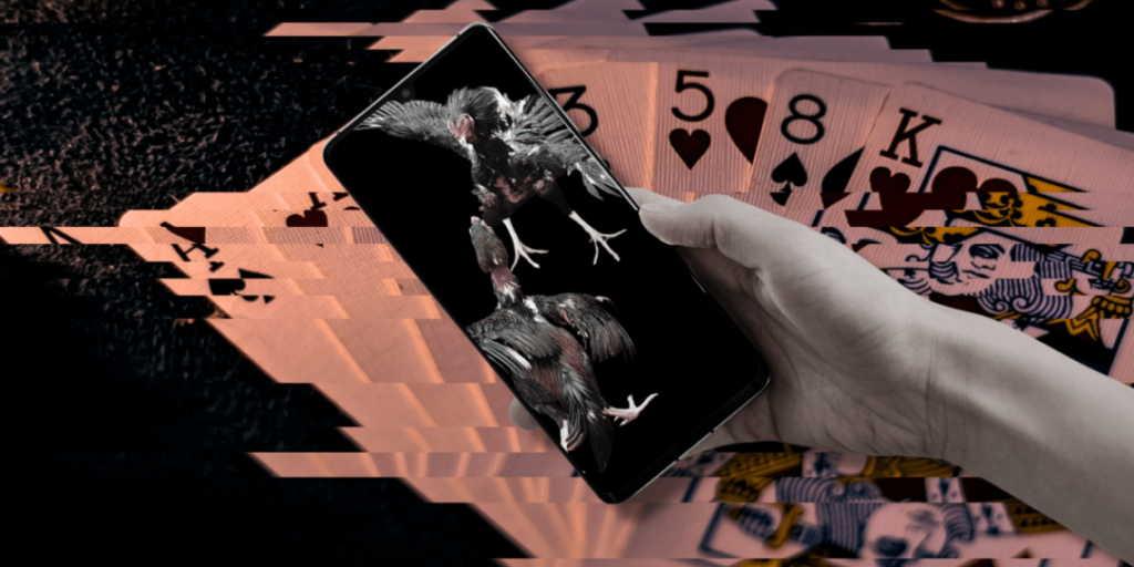 Cayetano challenges presidentiables: Speak up vs e-sabong, online gambling