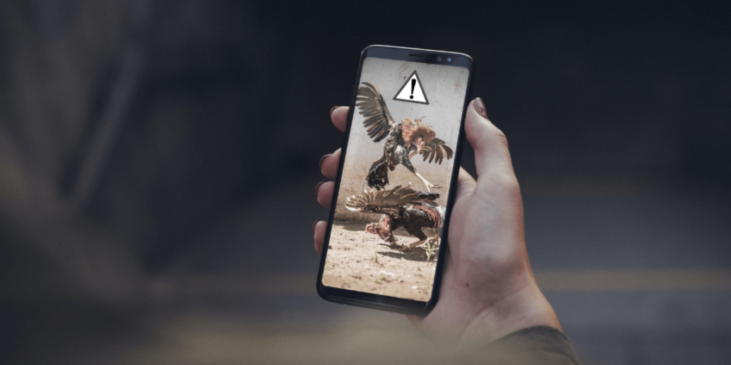 Cayetano thanks Senate for support in fight vs e-sabong