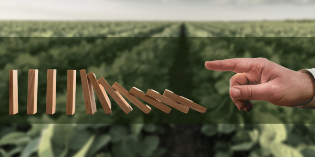 Infrastructure is the ‘first domino’ that will bring positive change to agriculture