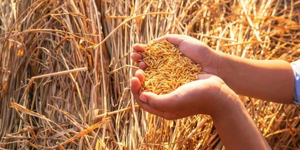 We need to put agriculture ‘front and center’